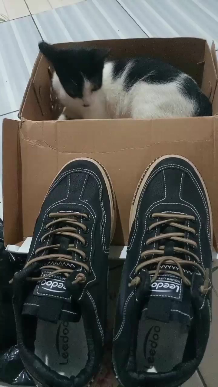 6. Leedoo Sepatu Kerja Pria Casual Outdoor Sneakers Original 100 Kekinian Olahraga Shoes Hitam MC448 - Foto ulasan pembeli