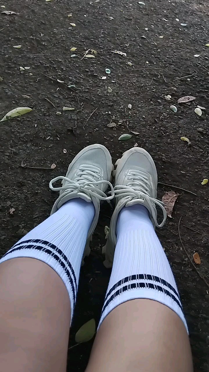 Kaos Kaki Skate Dewasa Oldschool Unisex - Foto ulasan pembeli