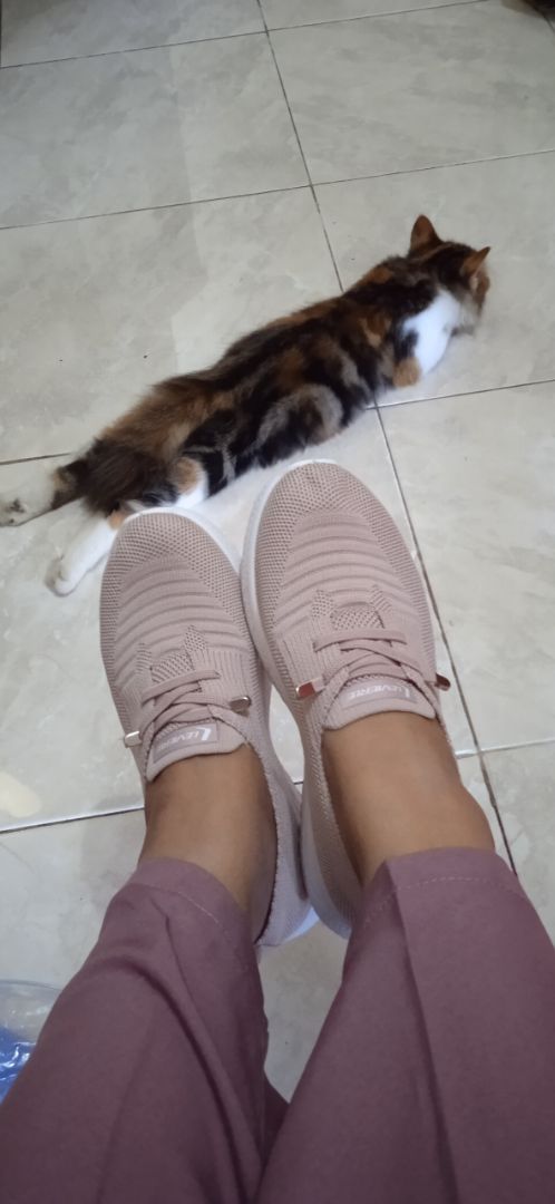LVR Minji Sepatu Slip On Wanita Sepatu Rajut Wanita Flyknit Sport FREE BOX LV0627 - foto 4 dari 10, itaniazka