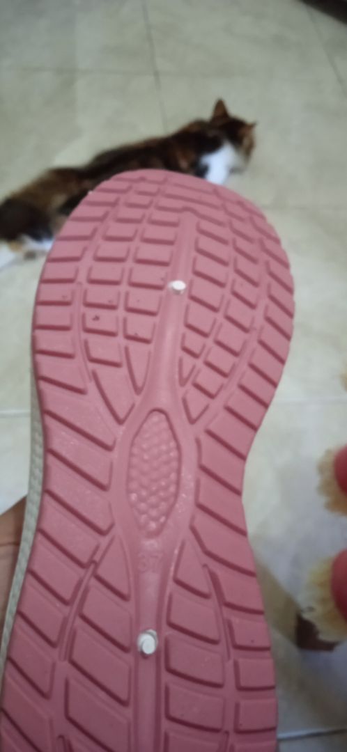 LVR Minji Sepatu Slip On Wanita Sepatu Rajut Wanita Flyknit Sport FREE BOX LV0627 - foto 6 dari 10, itaniazka