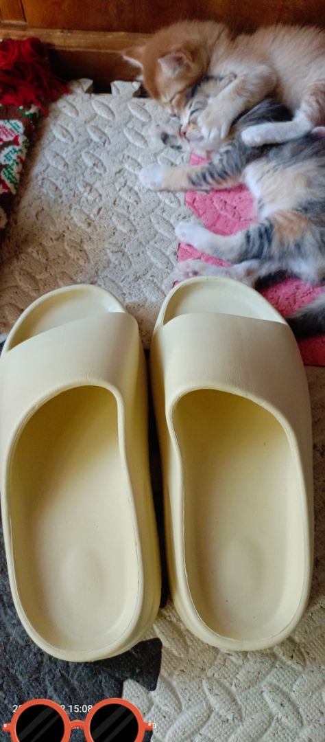 Sandal Selop Pria-Wanita Terbaru TEBAL EMPUK Anti Licin - foto 2 dari 10, arietha6990