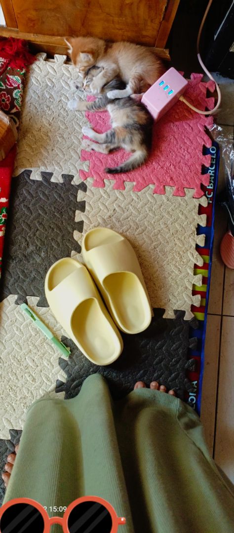 Sandal Selop Pria-Wanita Terbaru TEBAL EMPUK Anti Licin - foto 3 dari 10, arietha6990