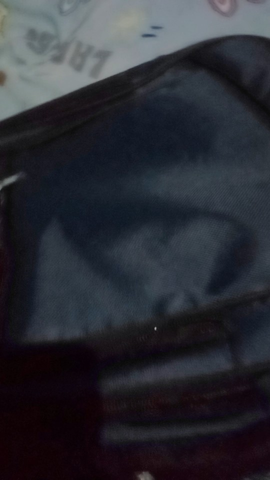 Ransel Polo Anak Dewasa Termurah Dengan Slot Laptop - Foto ulasan pembeli