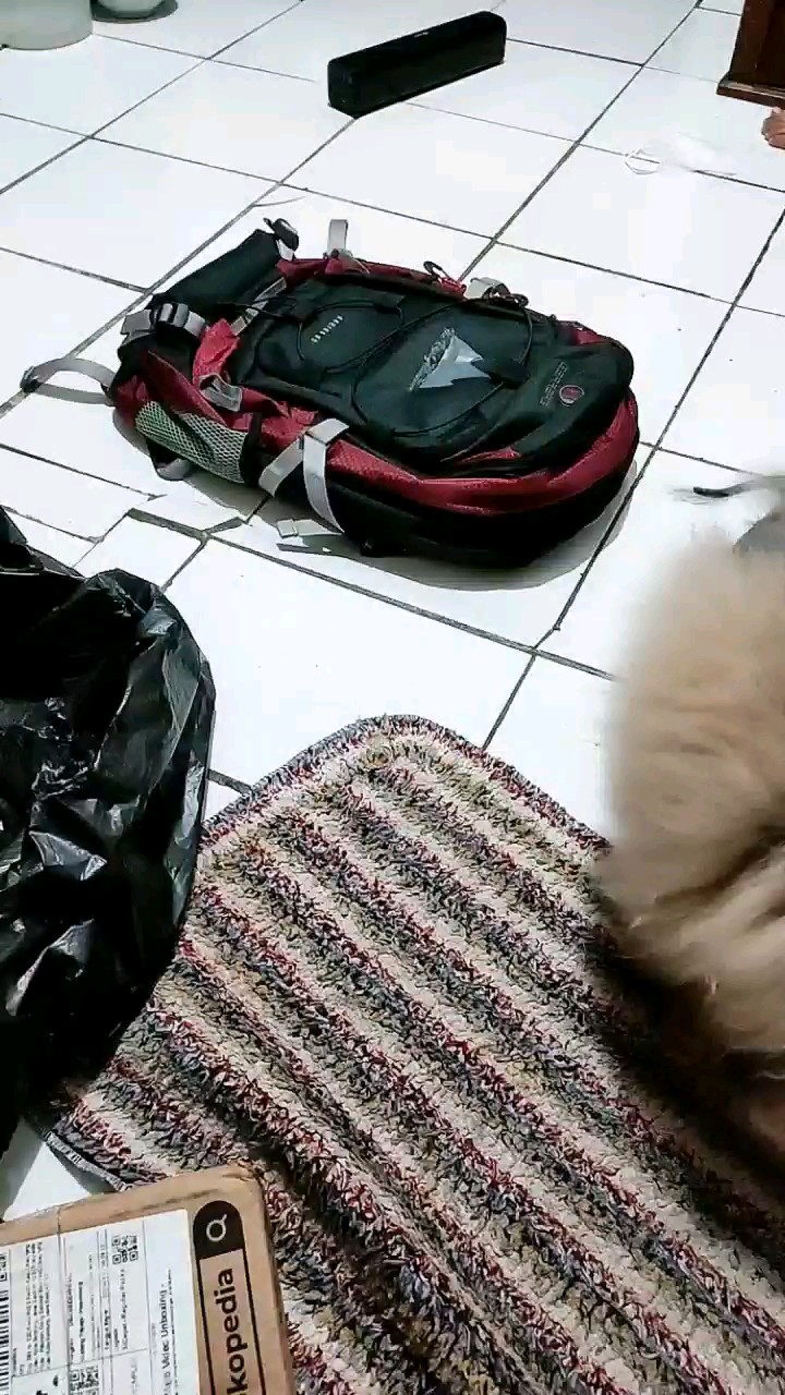 RTM Laptop Backpack 13089 + Free Raincover - Foto ulasan pembeli
