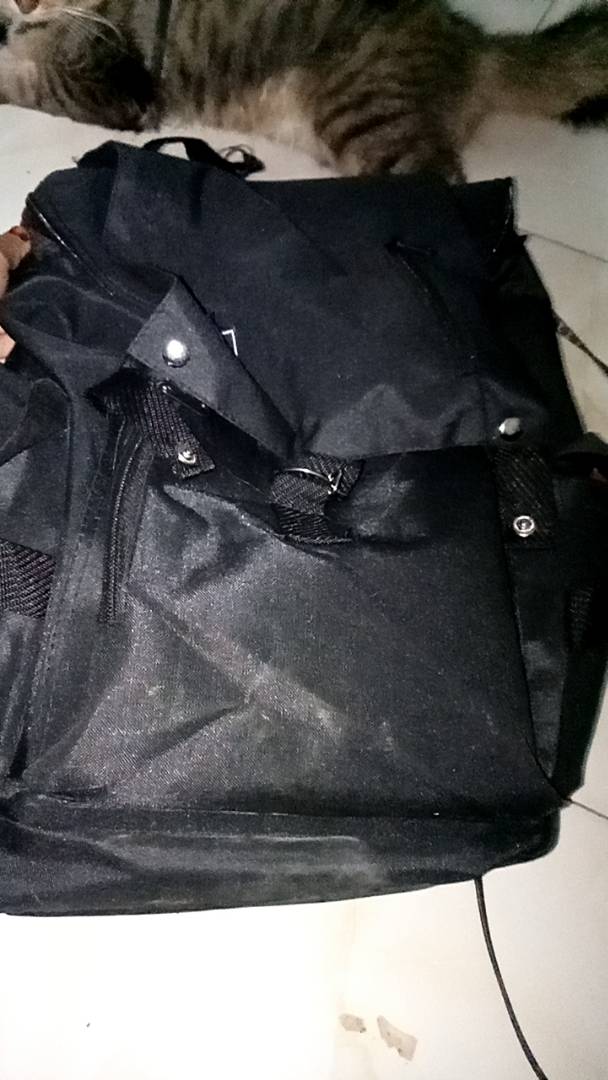 Tas Pria ZB RDN 069 Distro Raindoz Bandung Ransel Punggung Backpack Cowok Keren Sek BRAN NB-Tp BJ - Foto ulasan pembeli