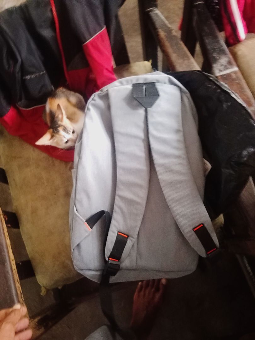 Tas Ransel Corduroy Pria Wanita Laptop 15" - Foto ulasan pembeli